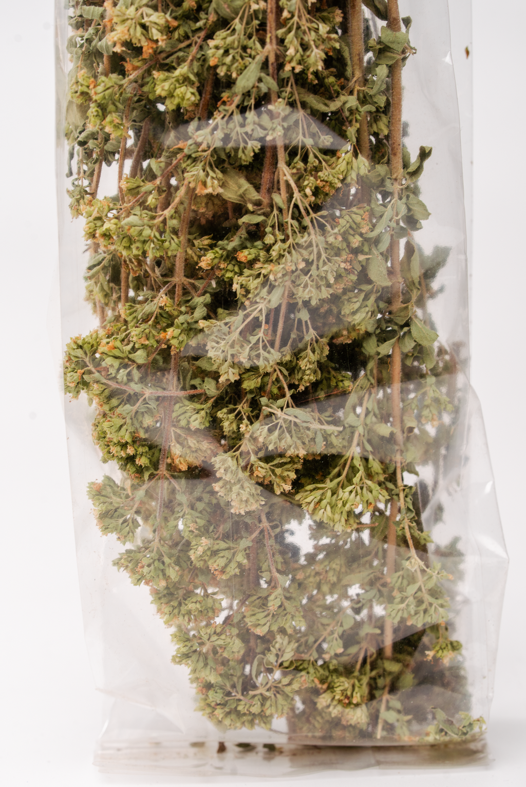 Bio Oregano